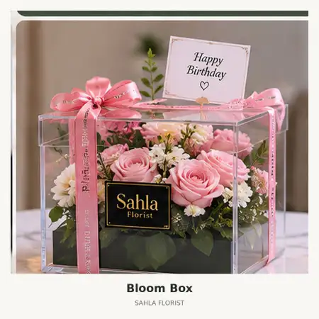 Bloom Box Sumbawa Barat